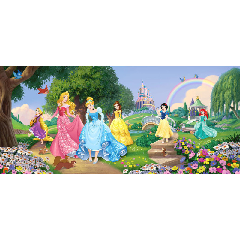 Disney Hercegnői poszter, fekvő