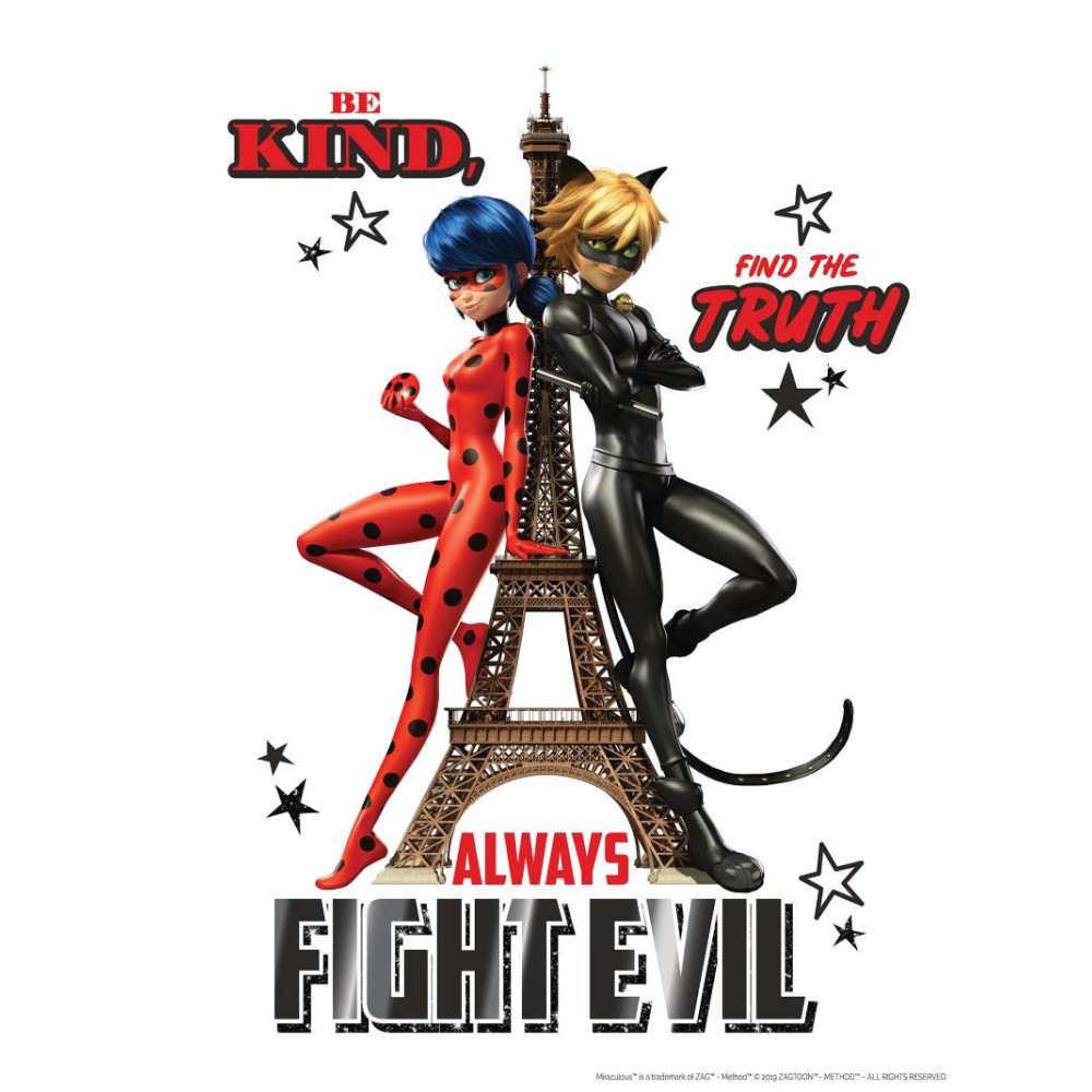 Miraculous katicabogár és fekete macska poszter