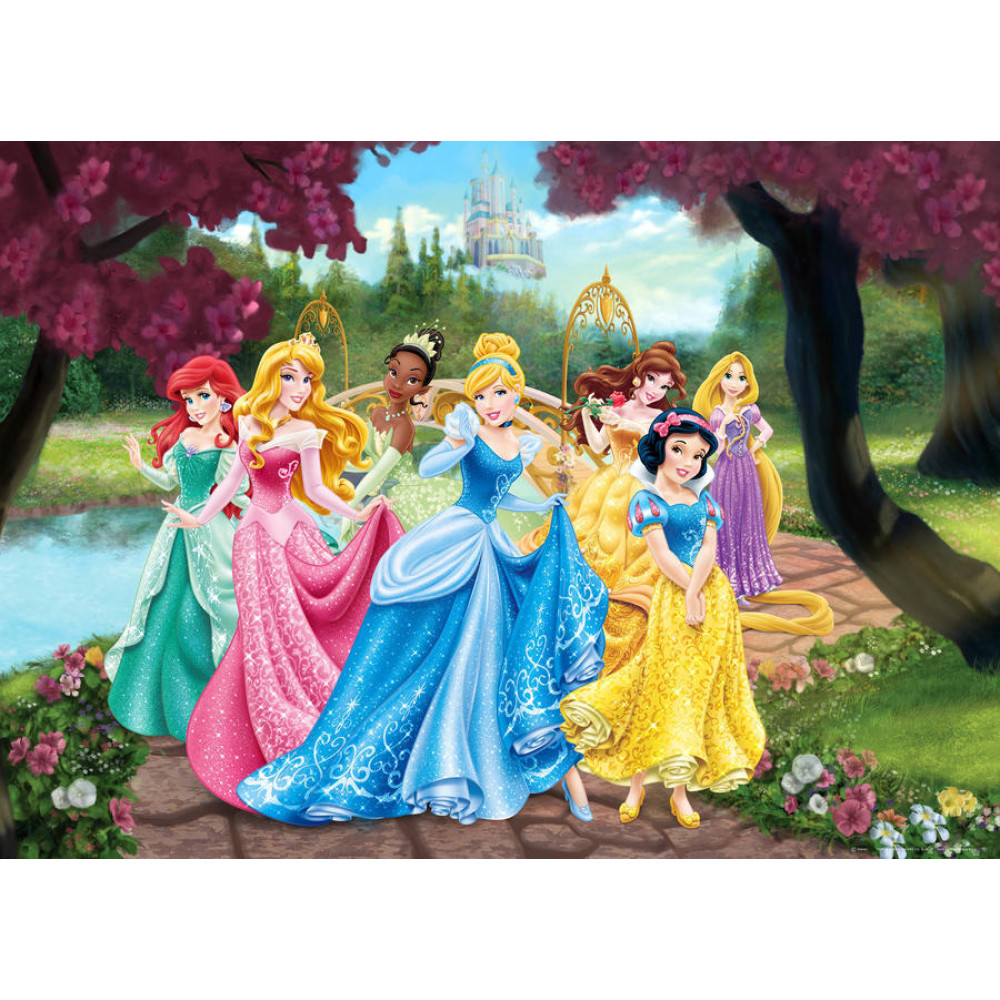 Disney Hercegnők poszter